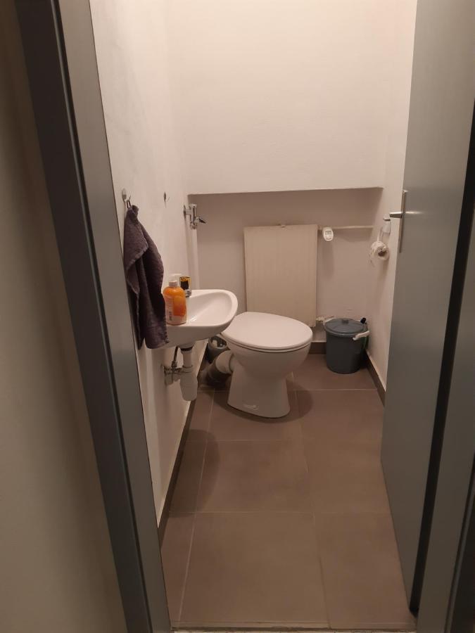 Ferienwohnung Leibl Oberviechtach エクステリア 写真